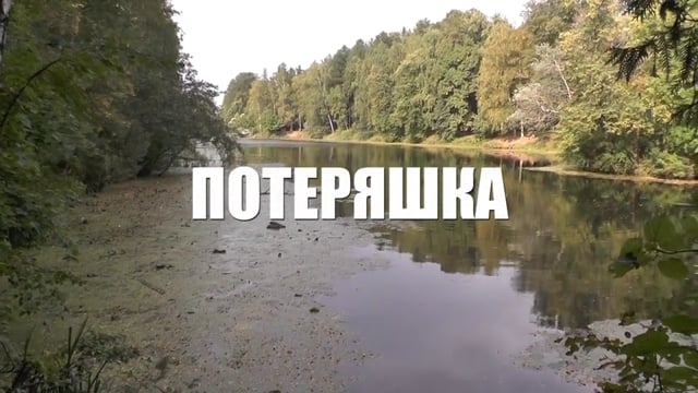 ПОТЕРЯШКА сентября 15, 2017